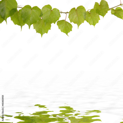 image to crop