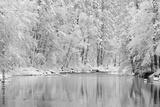 preview bw