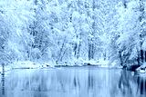 preview cold