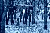 preview cold