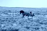 preview cold