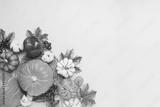 preview bw
