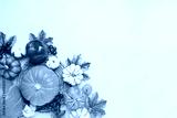 preview cold
