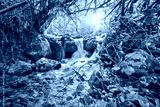 preview cold