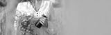 preview bw