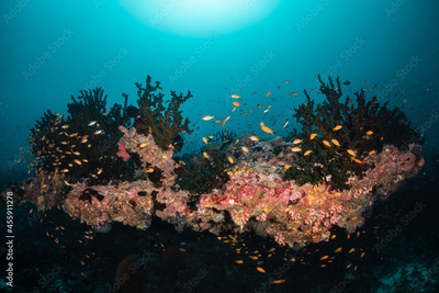 image to crop