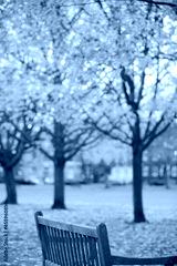 preview cold