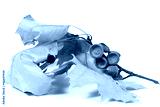 preview cold