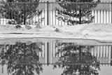 preview bw