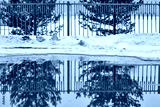 preview cold