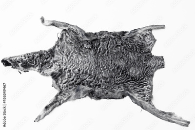 image to crop