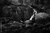 preview bw