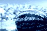 preview cold