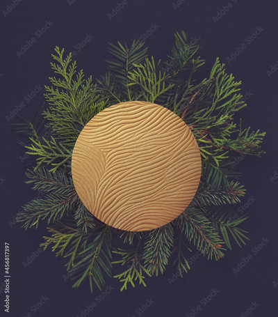 image to crop