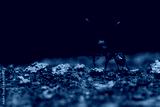 preview cold