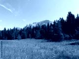 preview cold