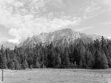 preview bw