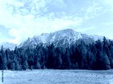 preview cold