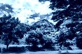 preview cold