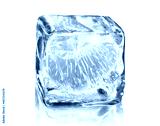 preview cold