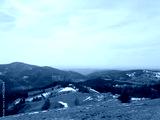 preview cold