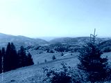 preview cold