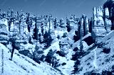preview cold