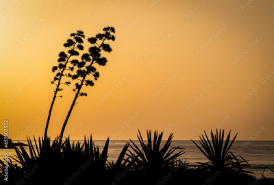 image to crop