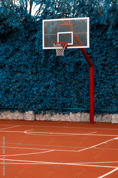 image to crop