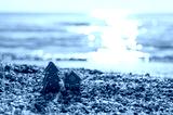 preview cold
