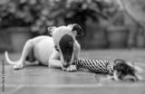 preview bw