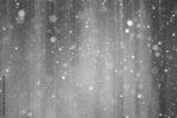 preview bw