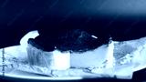 preview cold