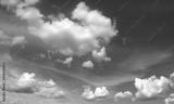 preview bw
