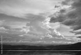 preview bw