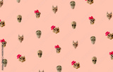 preview original