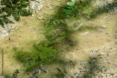 image to crop