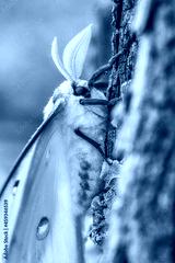 preview cold
