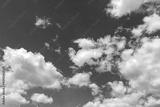 preview bw