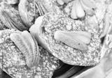 preview bw