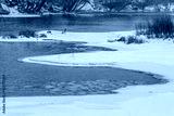 preview cold