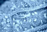 preview cold