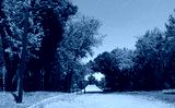 preview cold