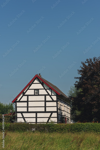 image to crop