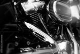 preview bw