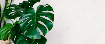 image to crop