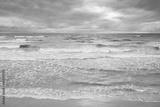 preview bw