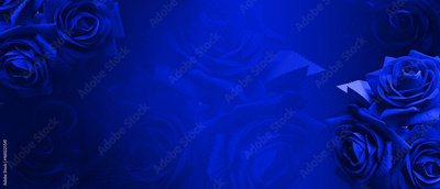 image to crop
