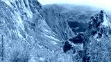 preview cold