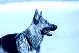 preview cold